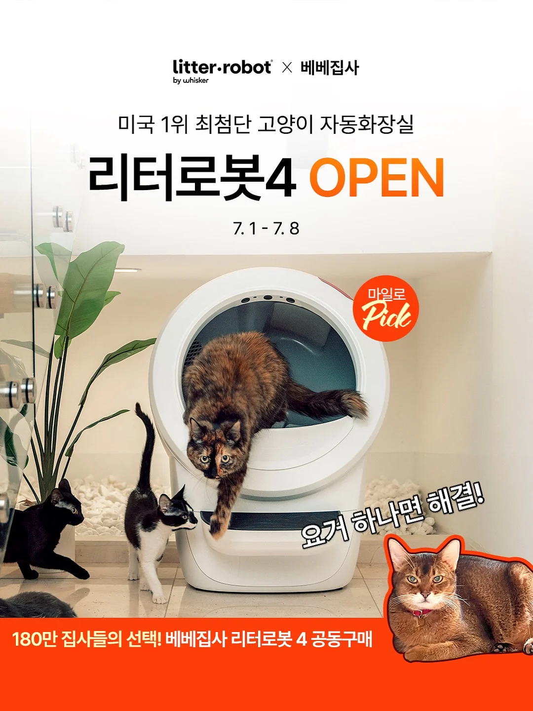 호주 워홀 3
