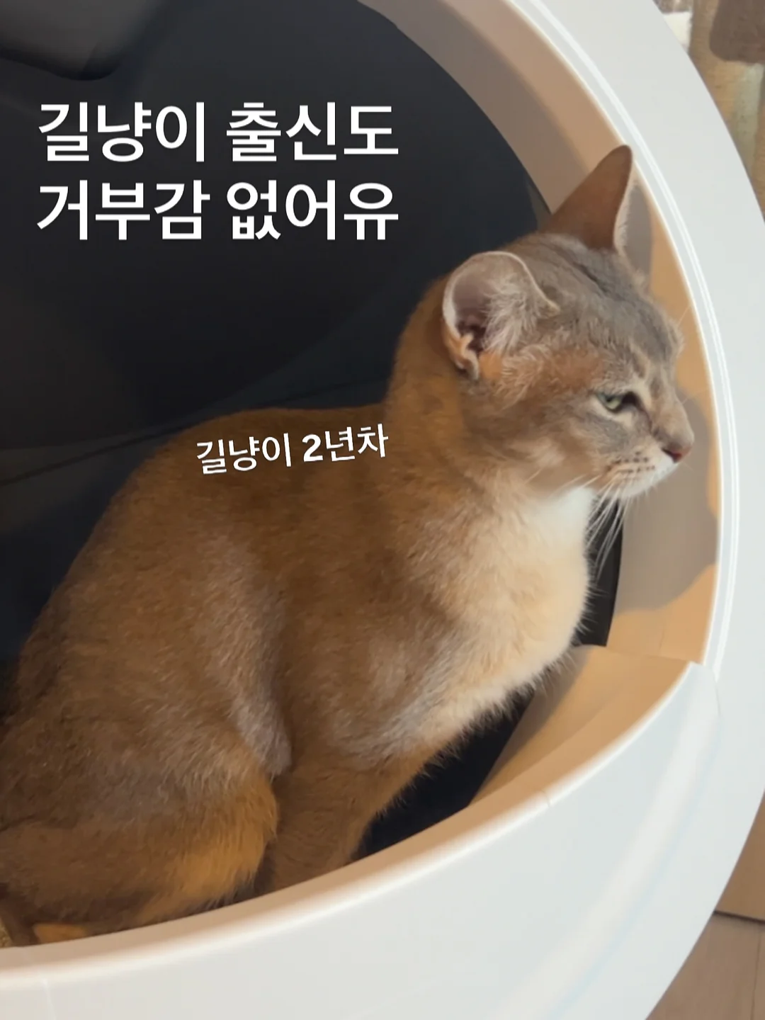 호주 워홀 7