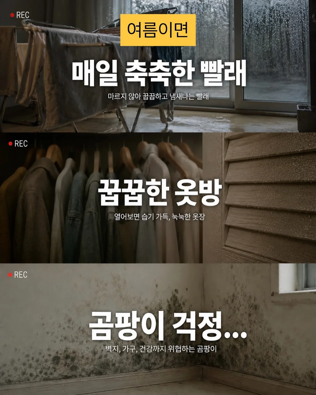 드시모네 키즈 요거트 2