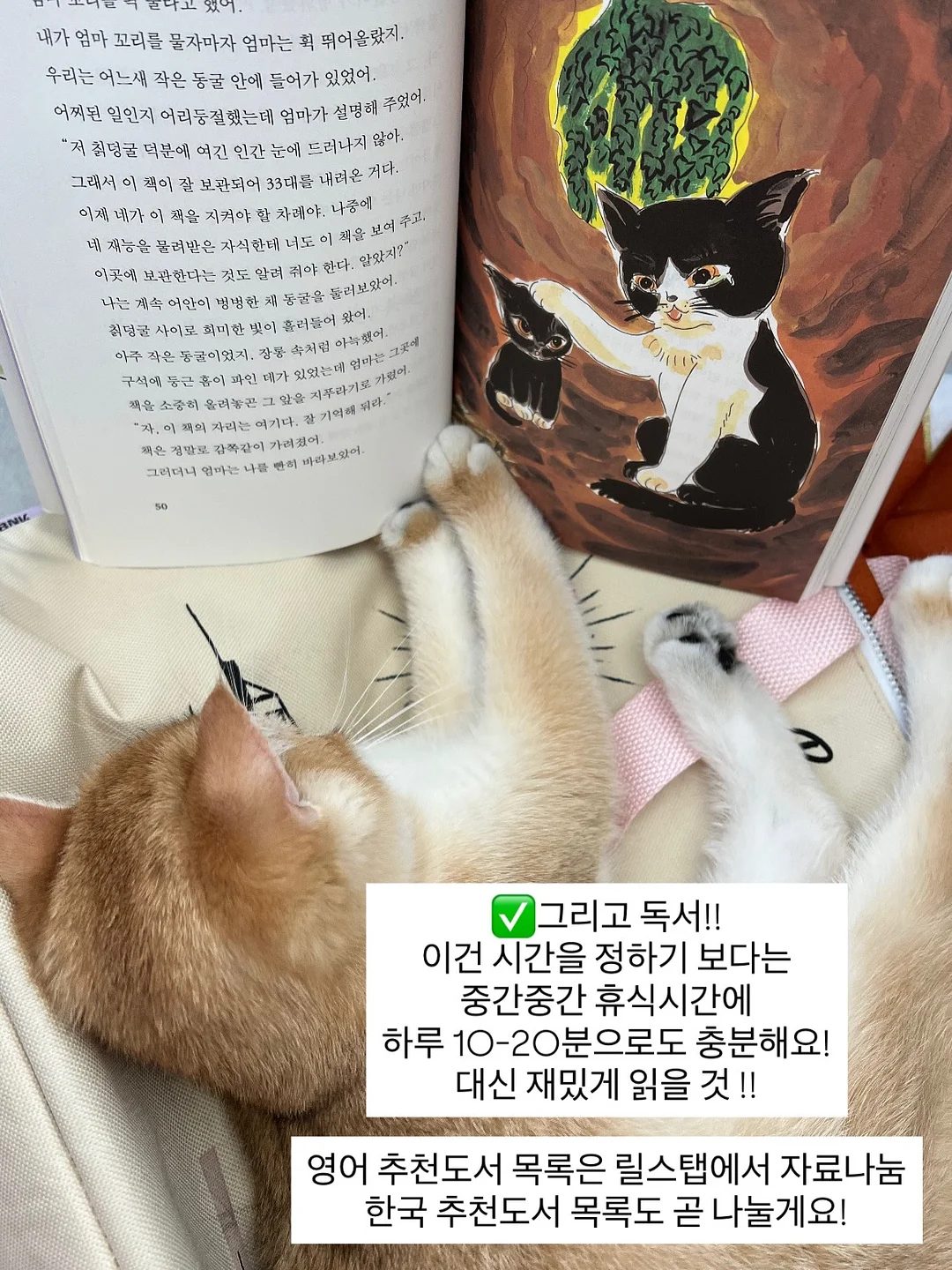 국산 도자기 식기 세트 15