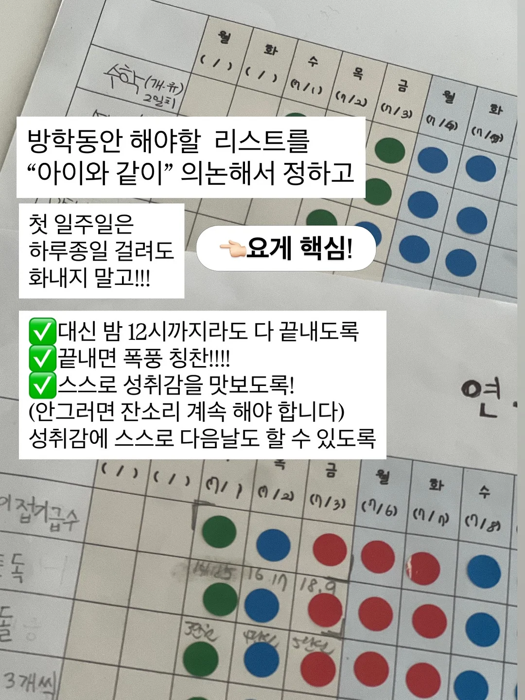 국산 도자기 식기 세트 2