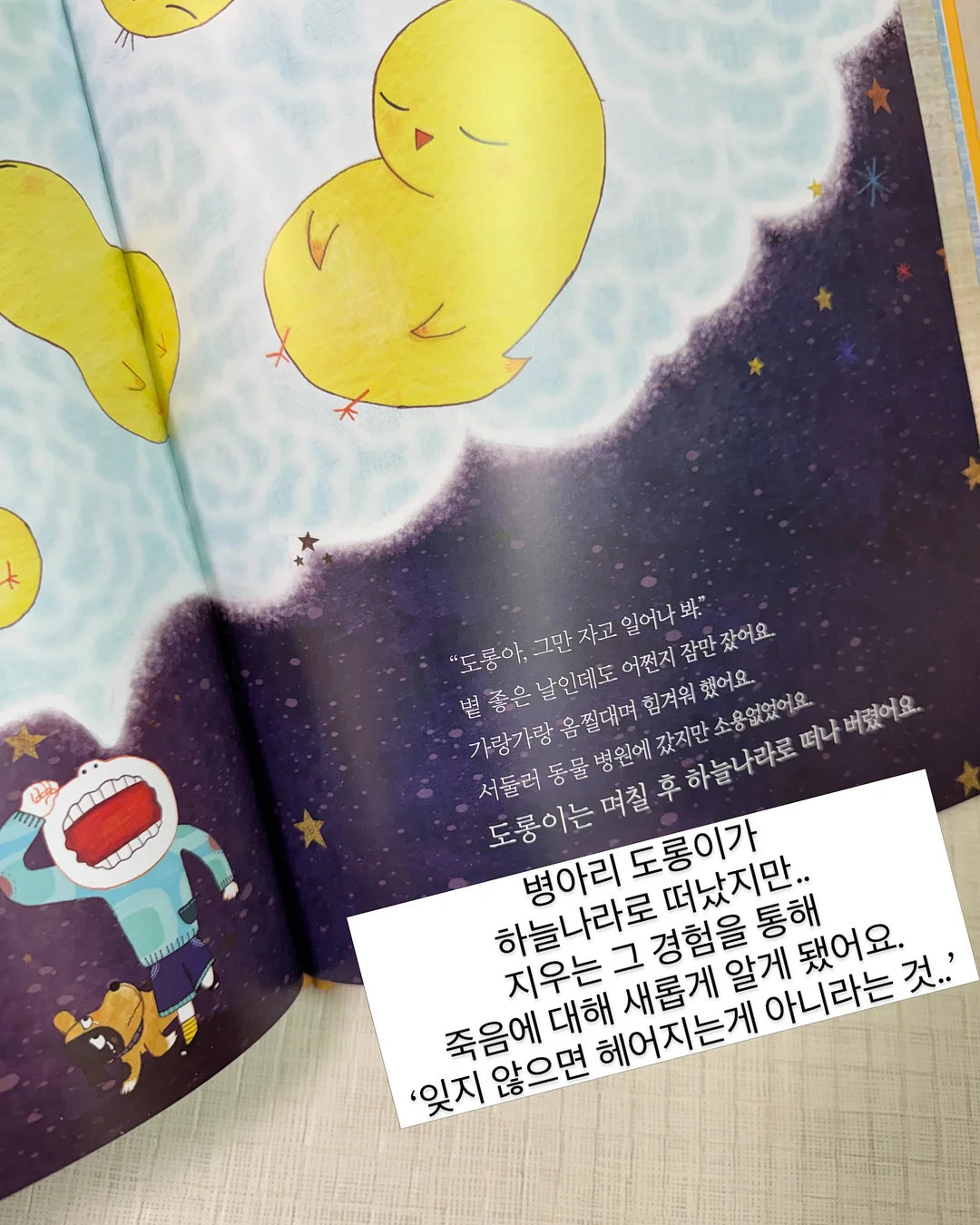 자석 차량 햇빛 가리개 13
