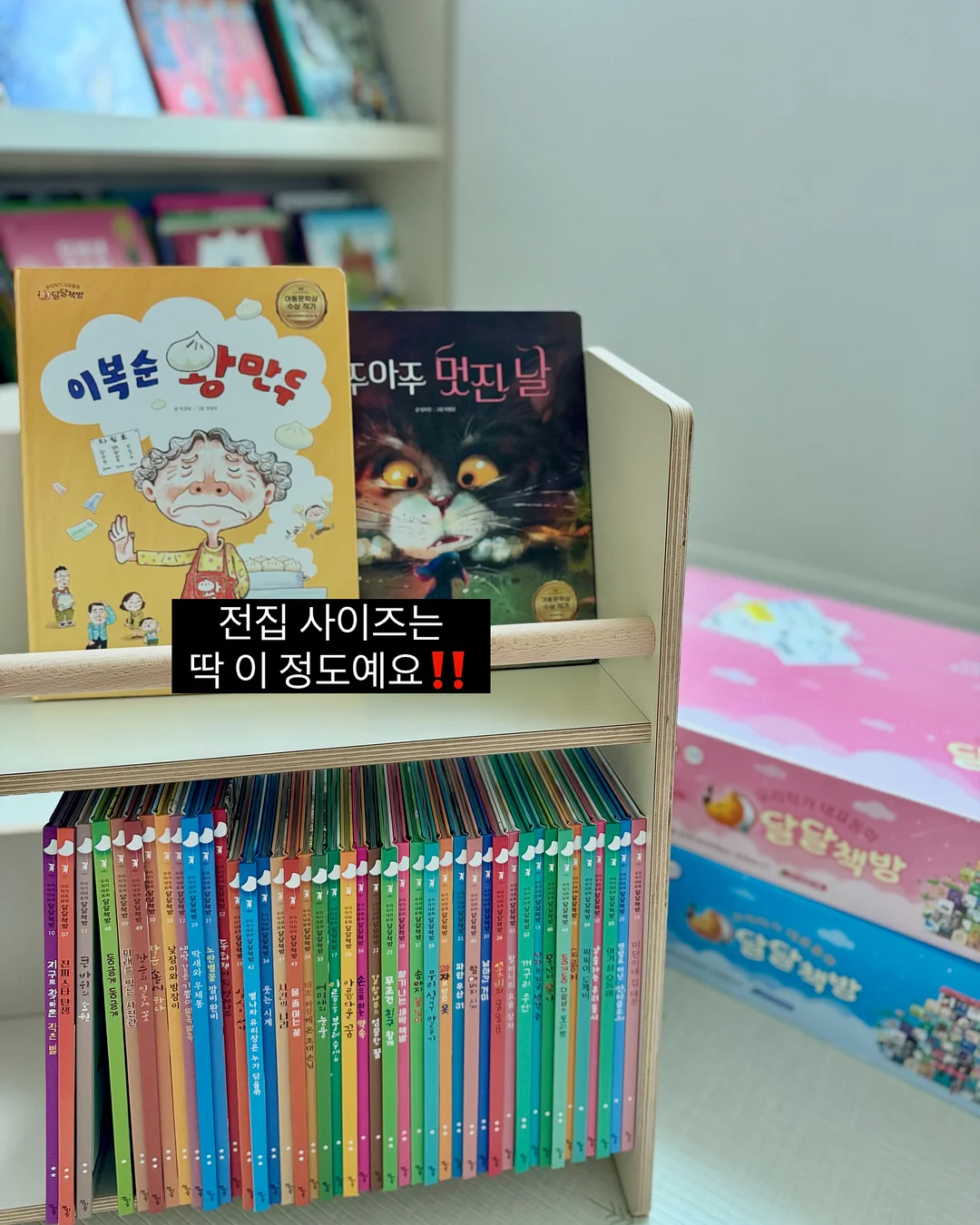 자석 차량 햇빛 가리개 16