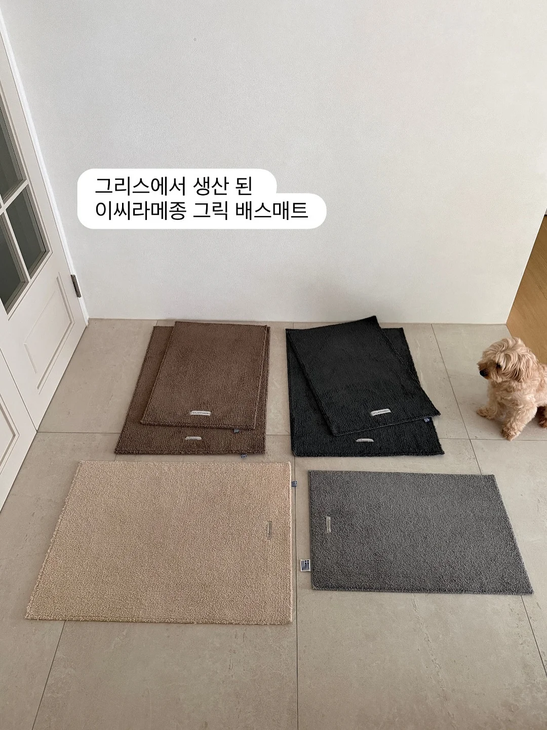 전세집 벽지 6