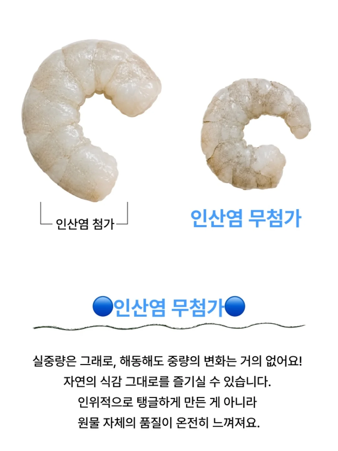 우주별피자 10