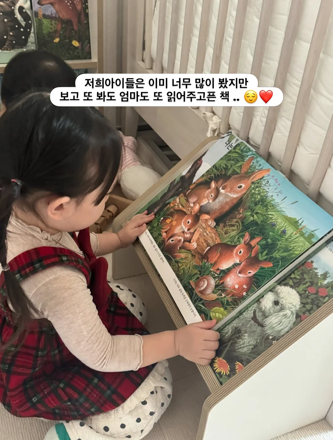 기름때 제거스틱 11