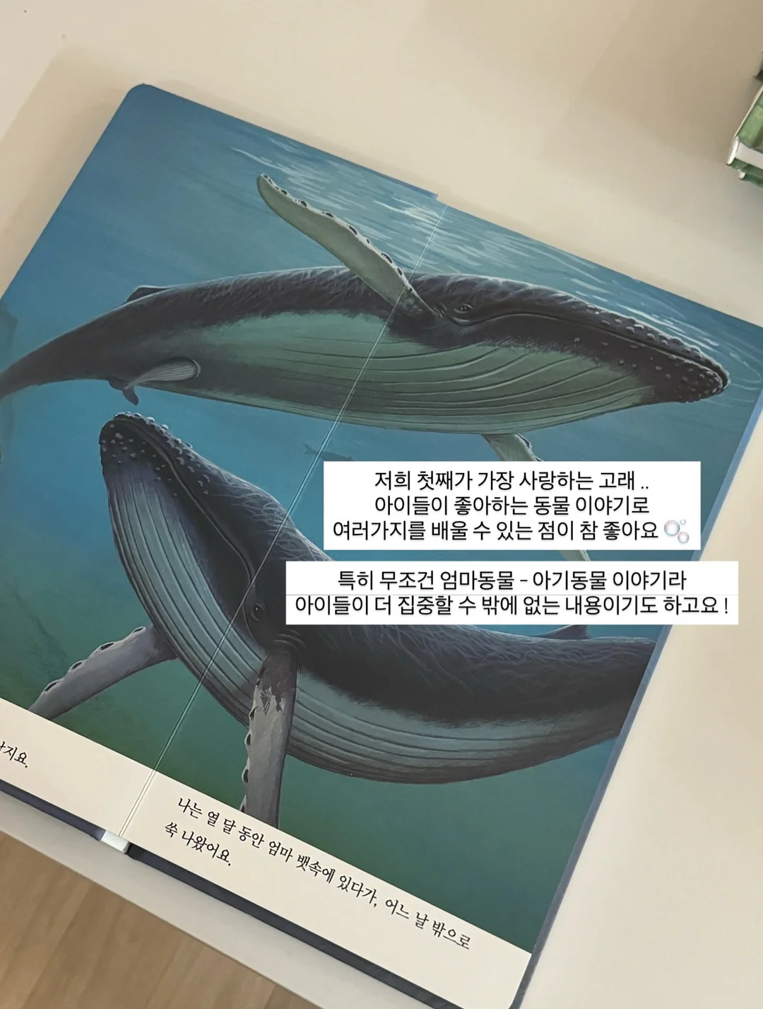 기름때 제거스틱 12