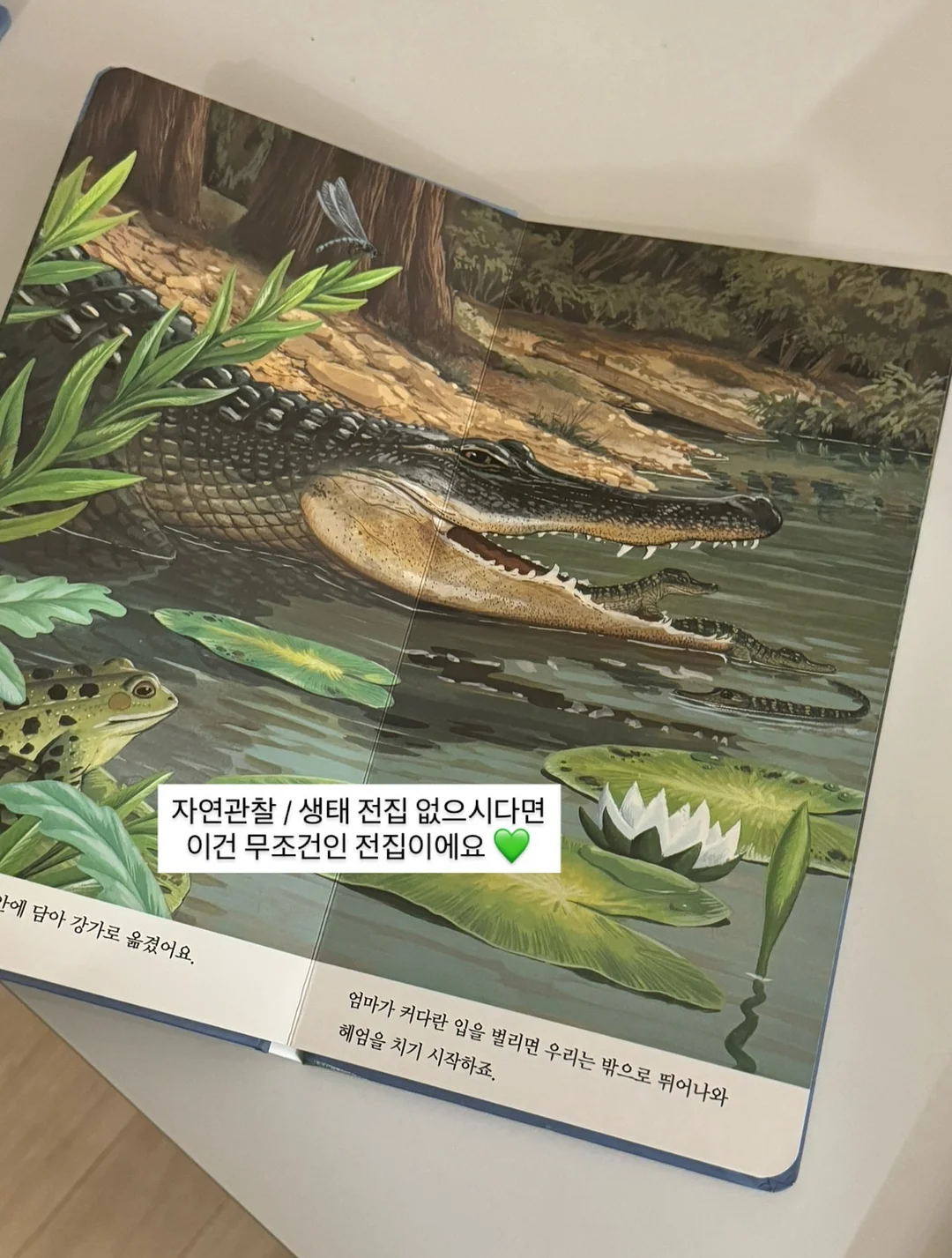 기름때 제거스틱 13