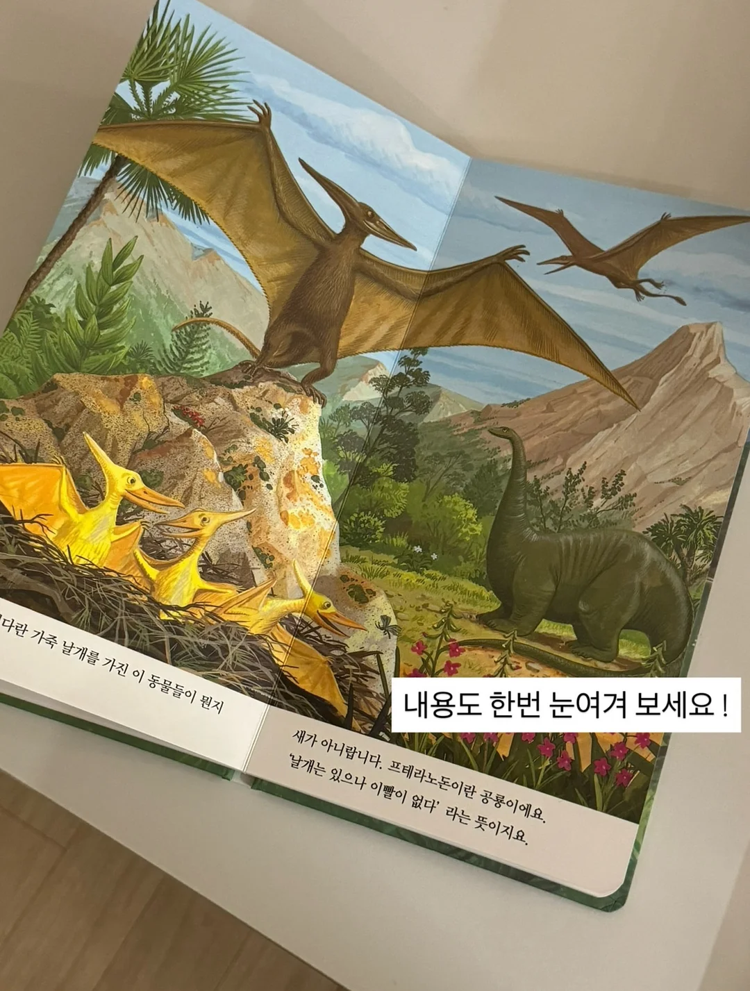 기름때 제거스틱 14