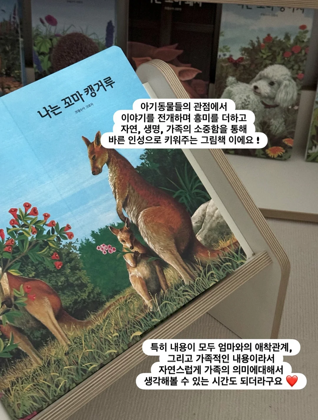 기름때 제거스틱 10