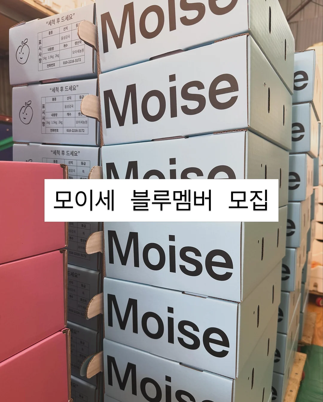 비레디 오일캡처 올인원 로션 1
