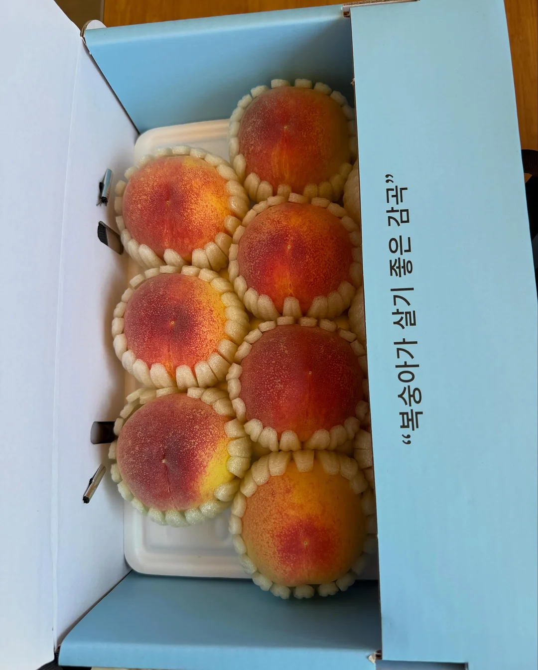 비레디 오일캡처 올인원 로션 3