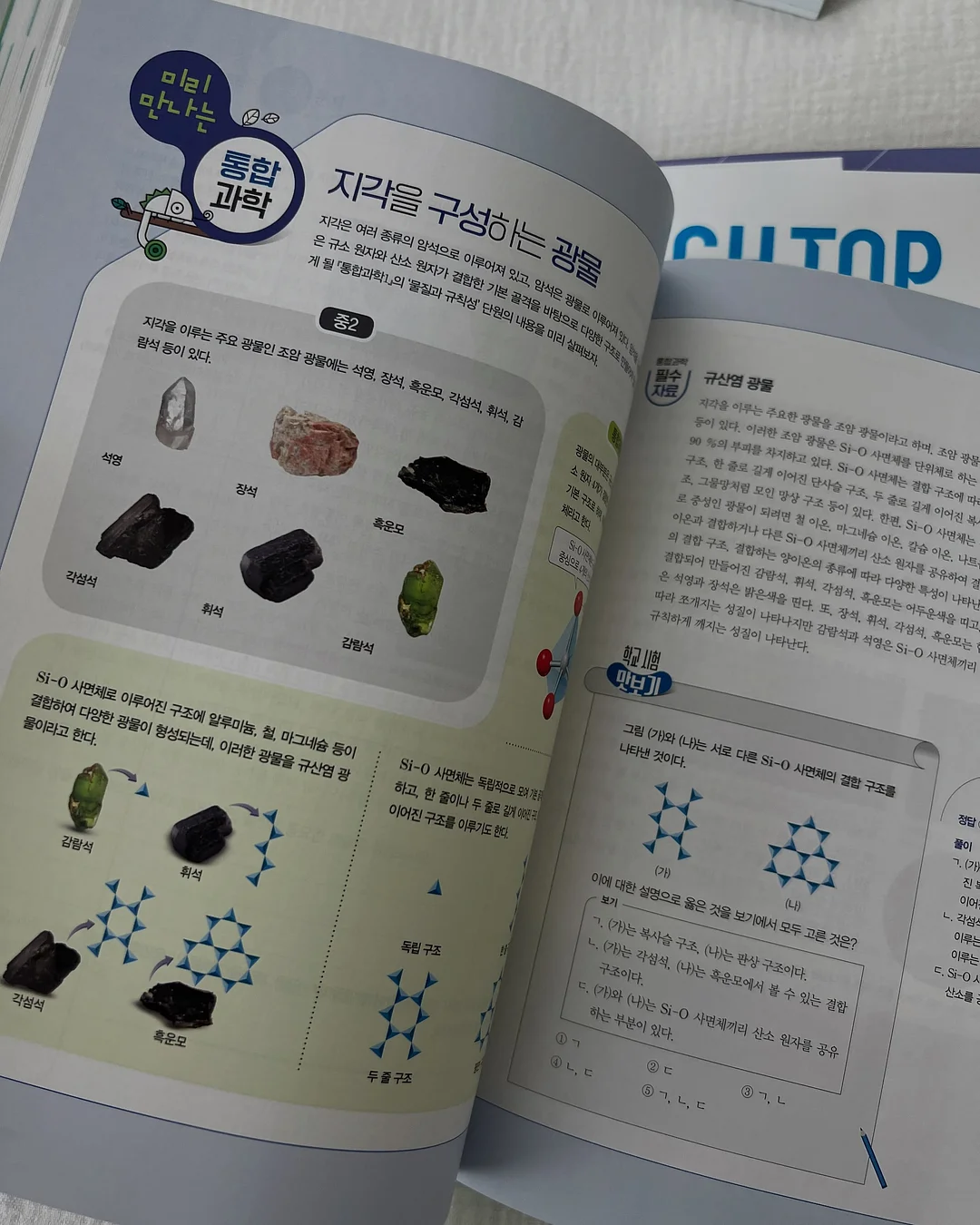 시즌 디자인 케이크 12