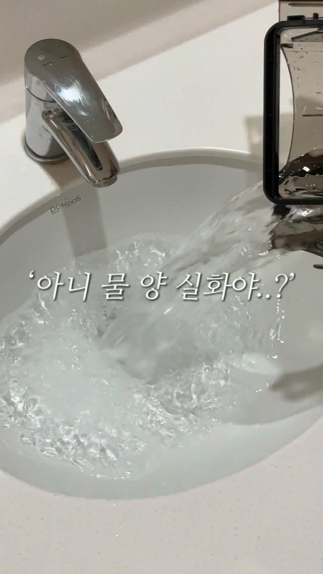 베이프 스투시