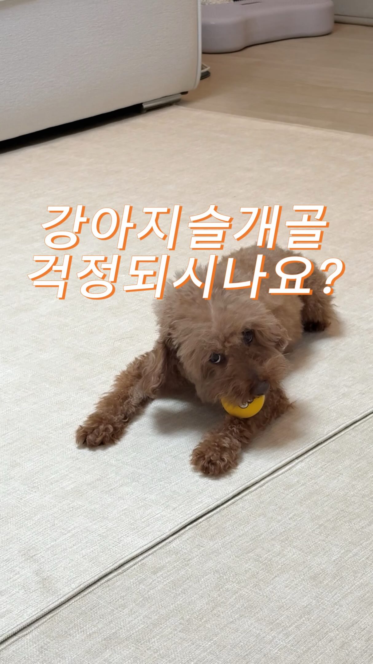 꽃잎 뜨기 미니백