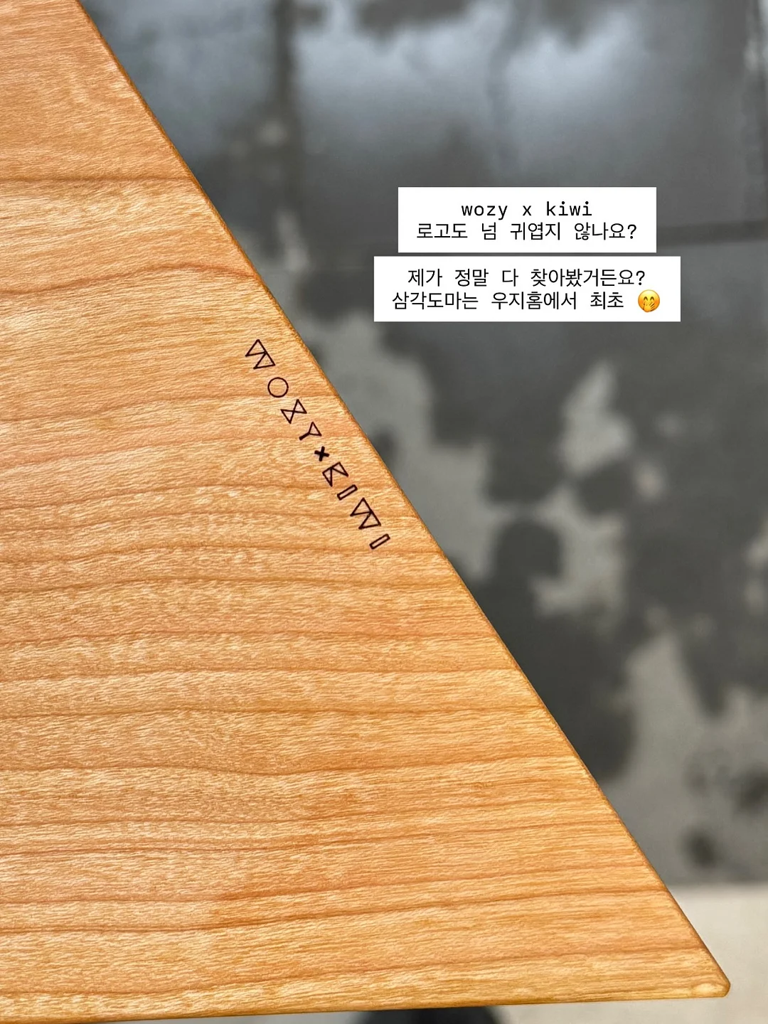 브리티쉬 숏헤어 고양이 4