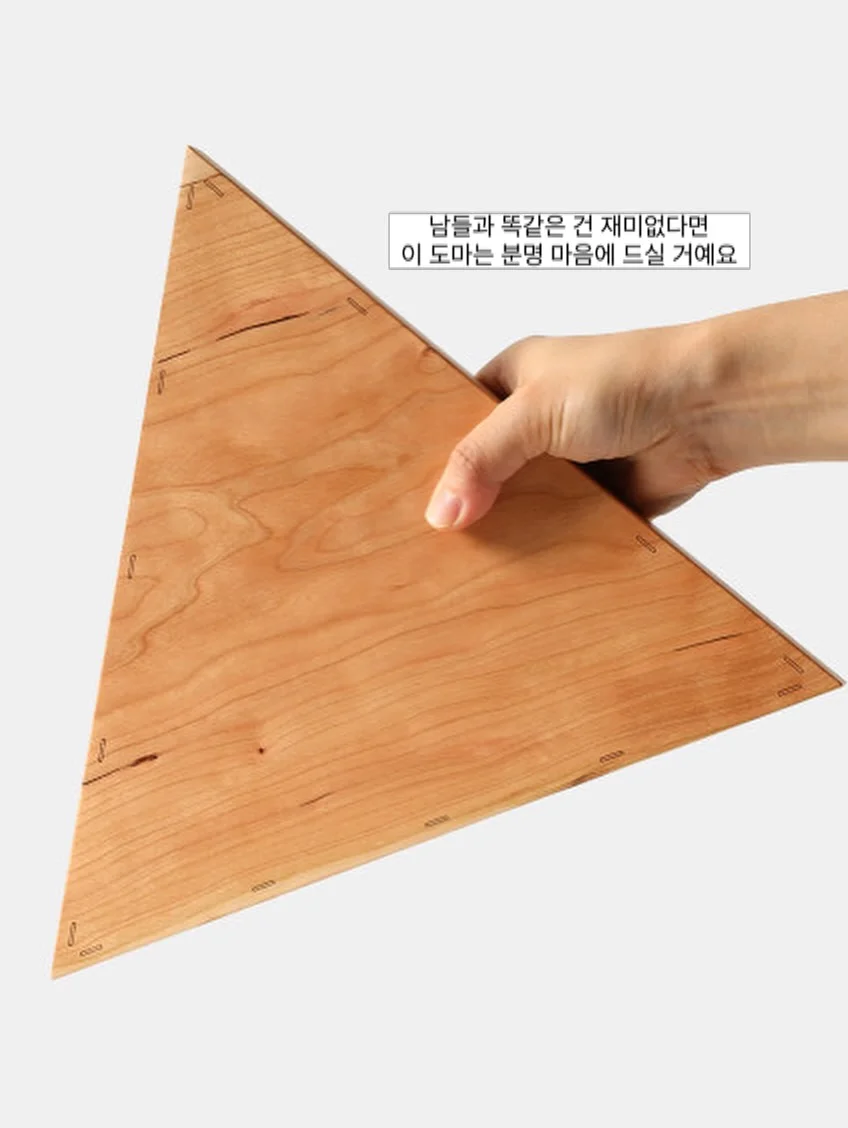 브리티쉬 숏헤어 고양이 7