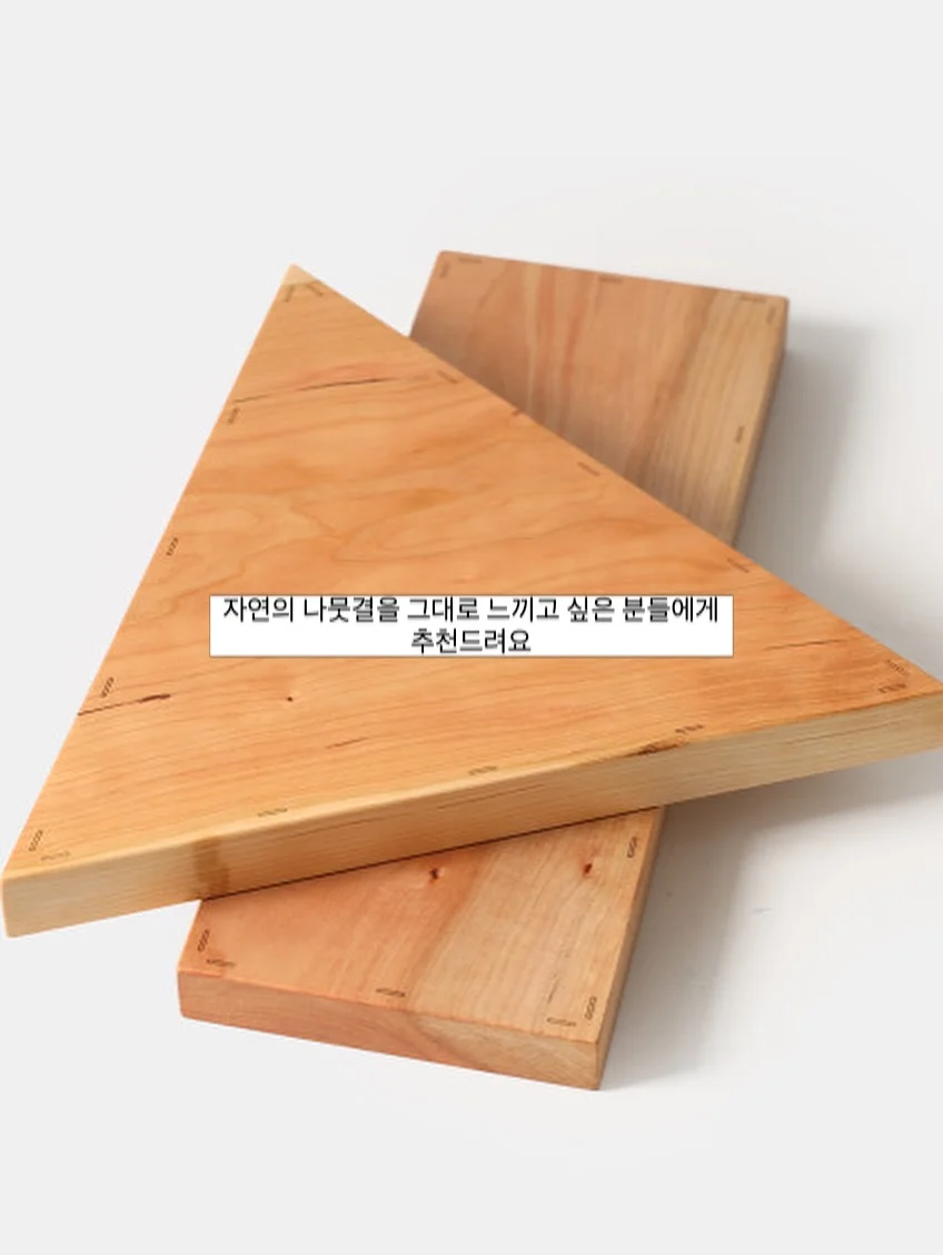 브리티쉬 숏헤어 고양이 8