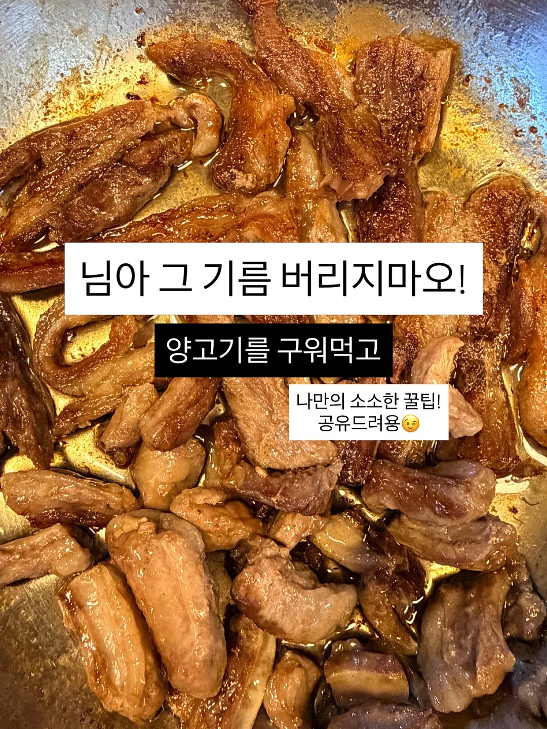 LG 그램 프로 360 1