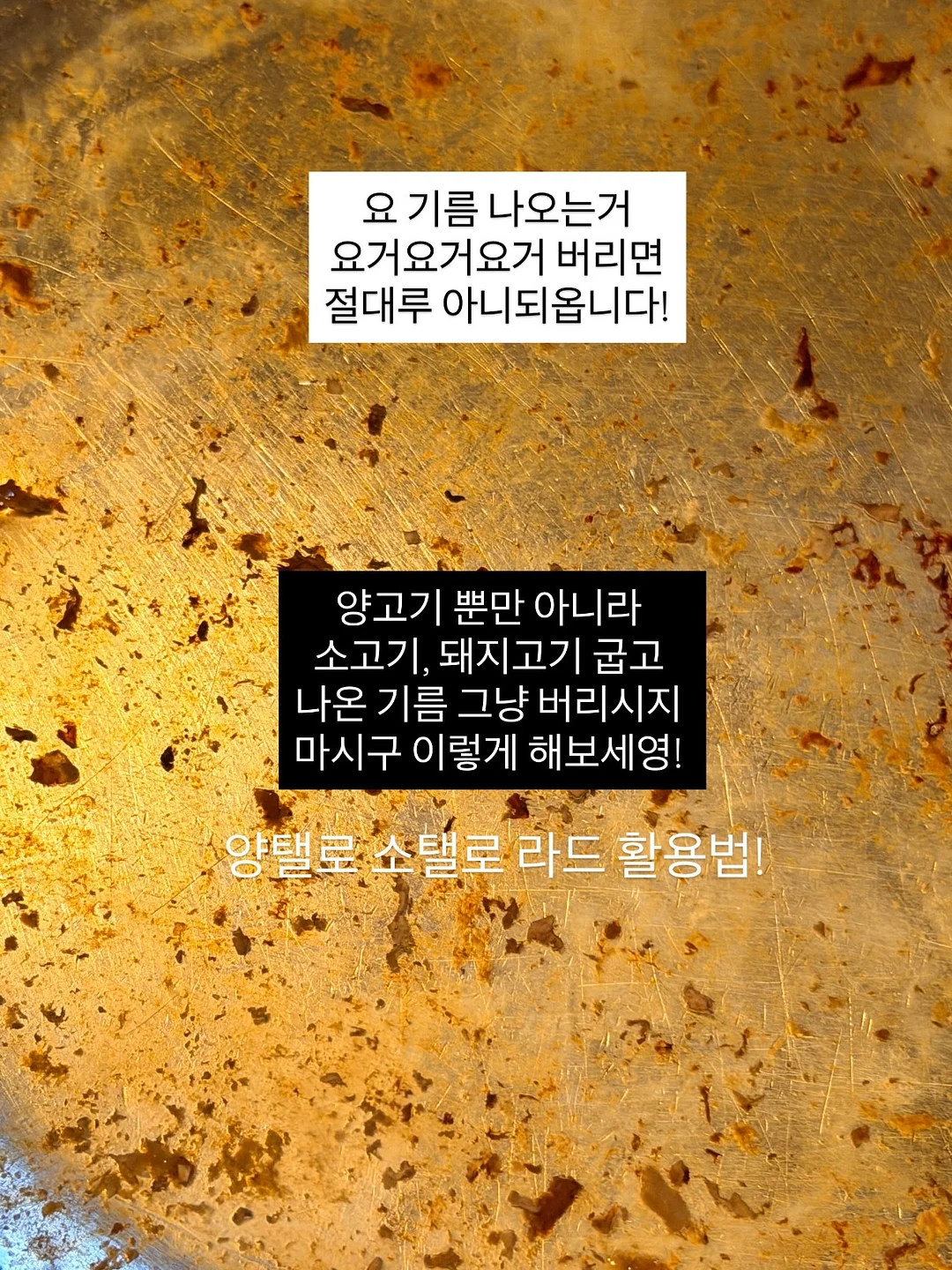 LG 그램 프로 360 2