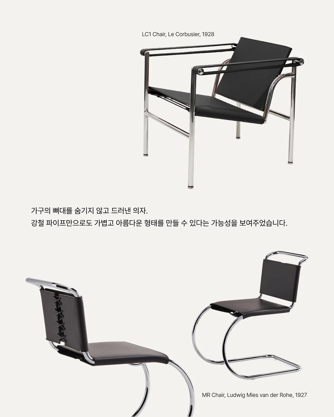 맥 무화과 컬러 4