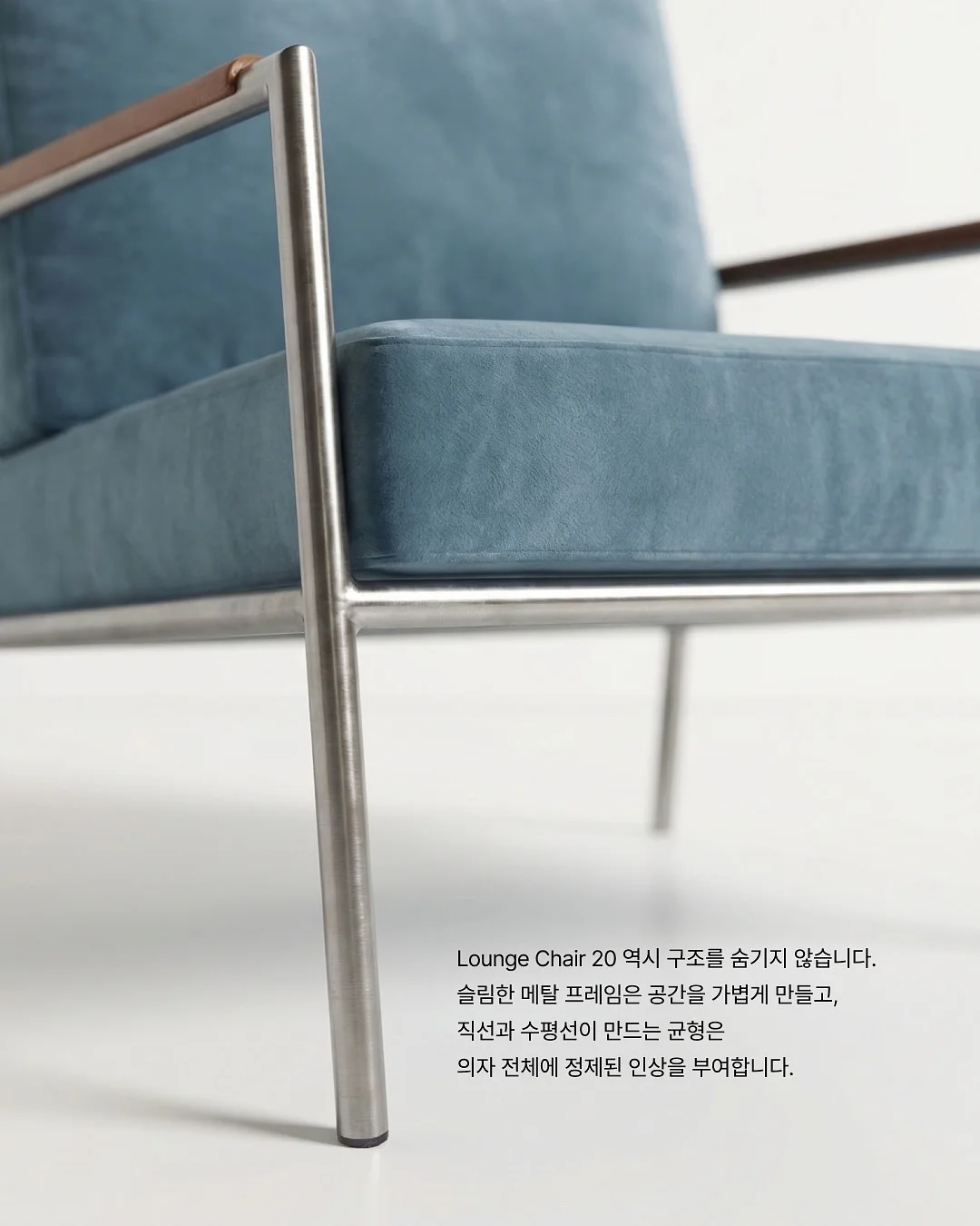 맥 무화과 컬러 5