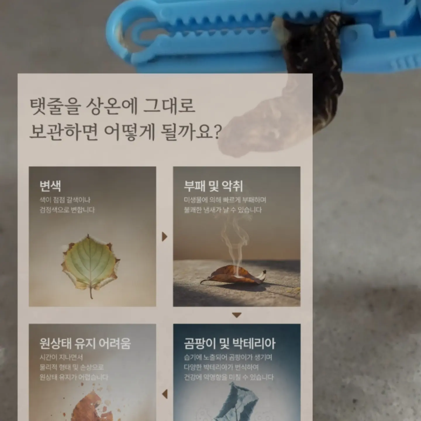 복숭아 4