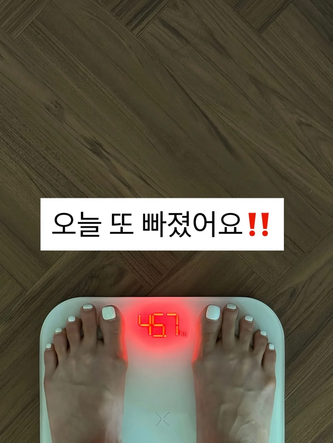 동숲 닌텐도 충전케이스 4