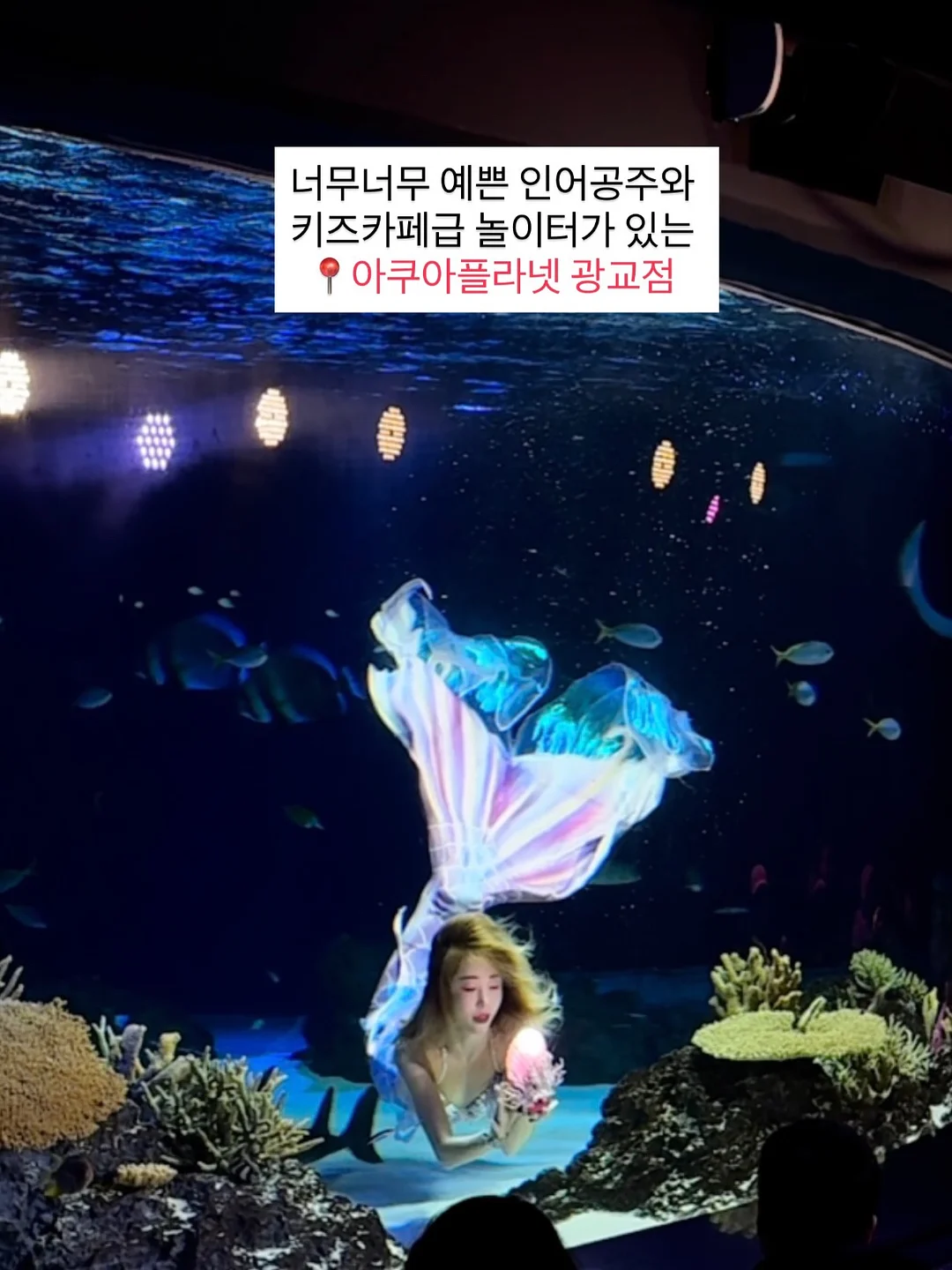 알로 맨투맨, 반바지 5