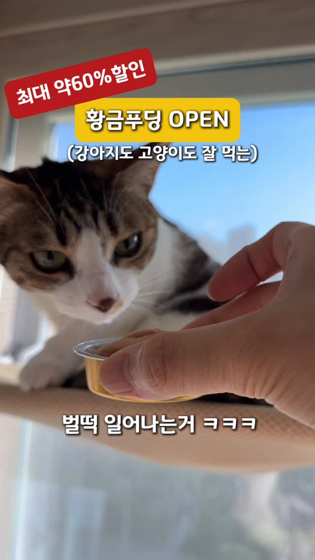 밴딩 실키 스커트