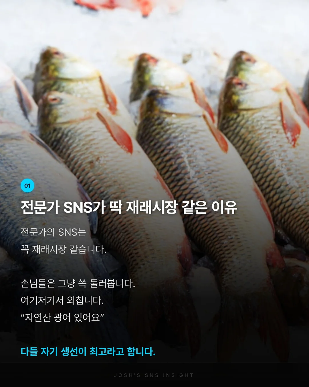 아멜리아의 호기심 많은 로맨스 2 2