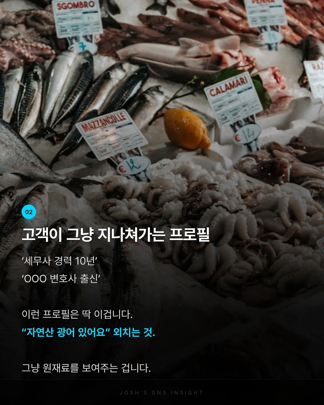 아멜리아의 호기심 많은 로맨스 2 3