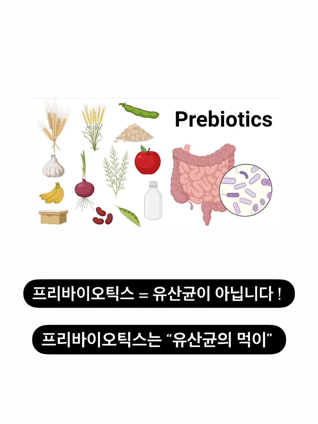 왓챠 6개월 구독권 6