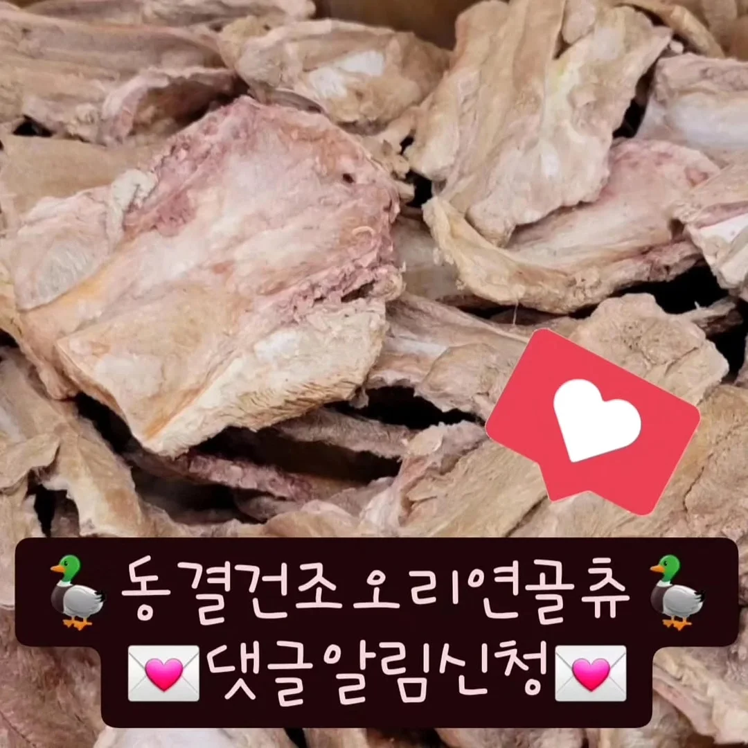 몬테라 CVT Dean edition 체어