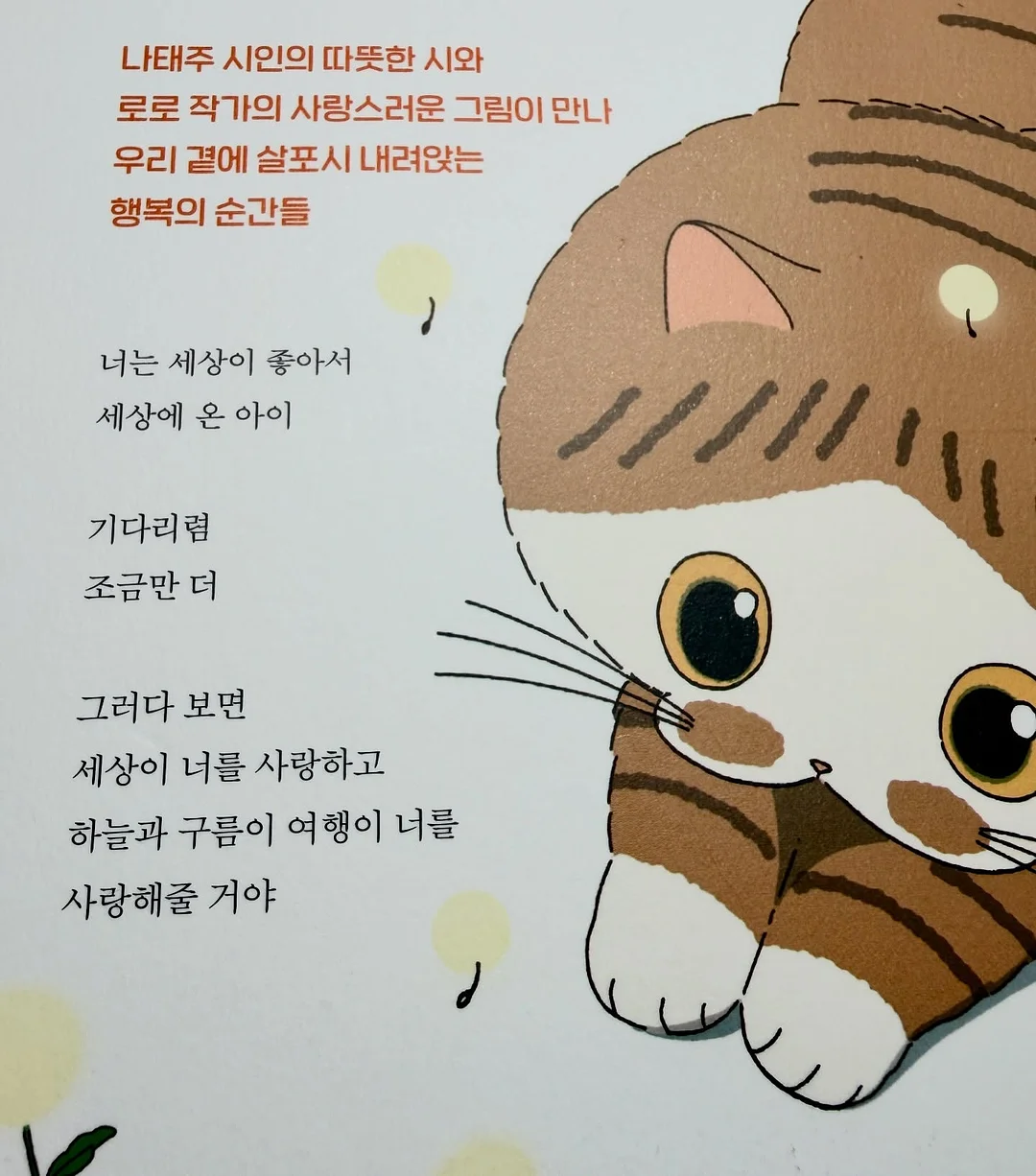 바닐라라떼 14