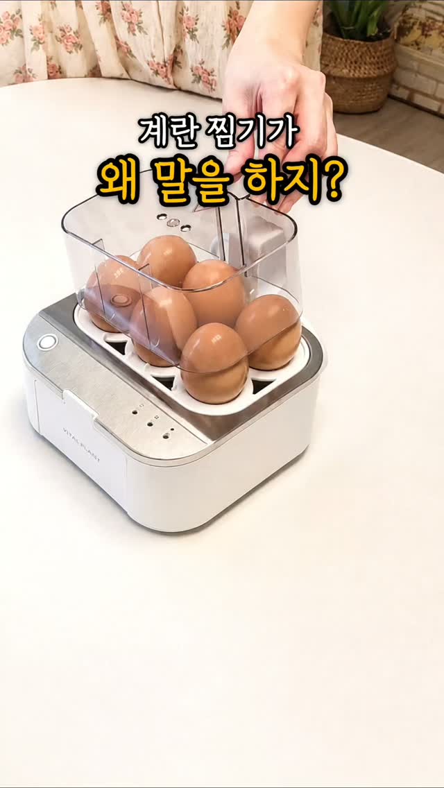 콰트 요가 입문 패키지