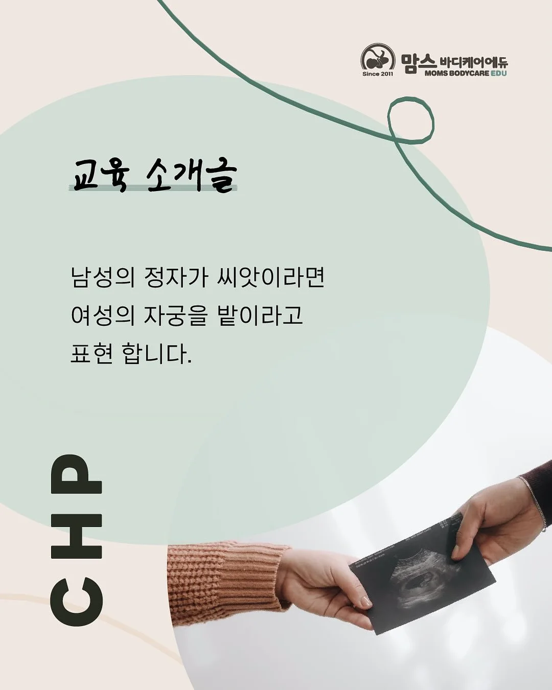 강아지 산책 우비 2