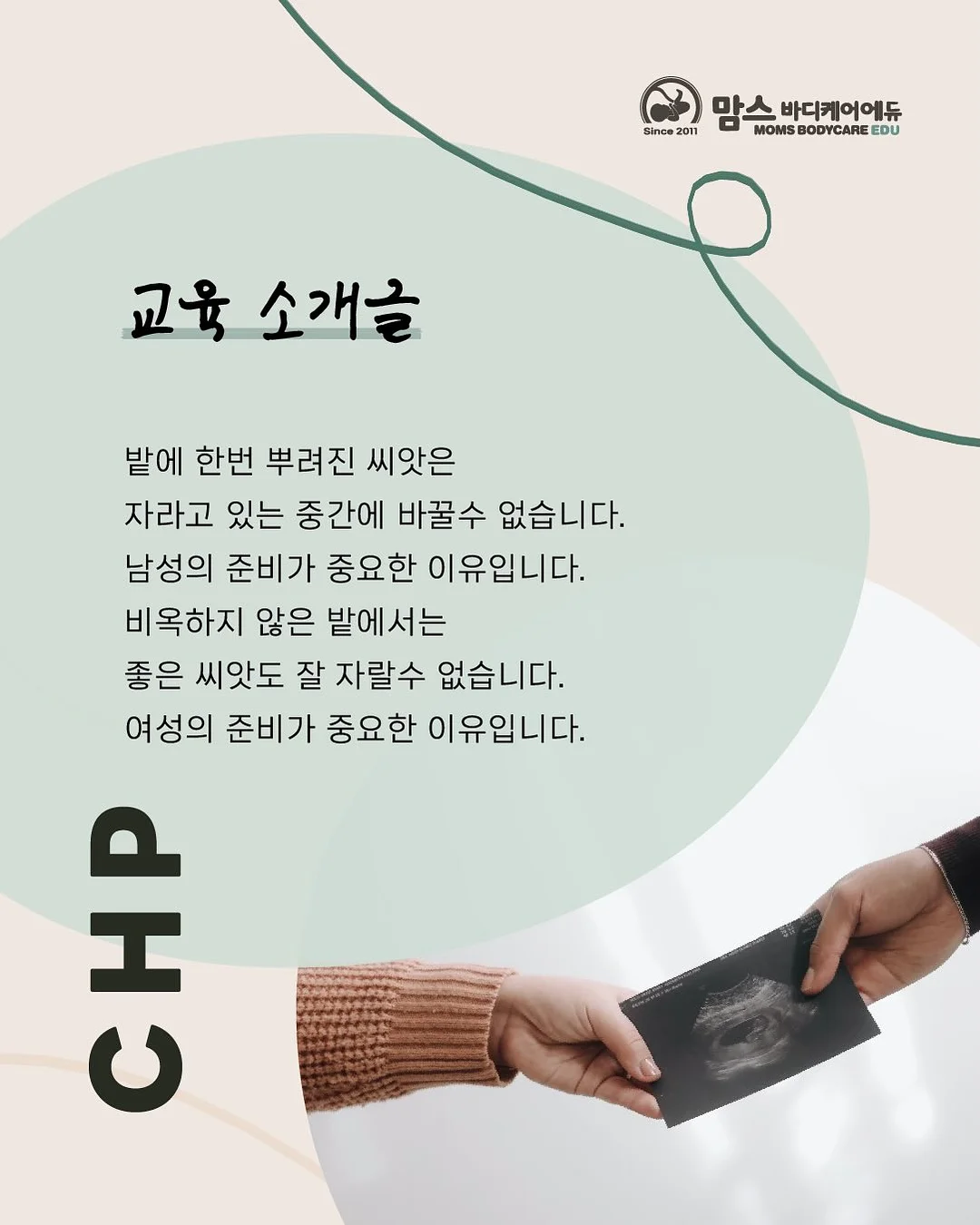 강아지 산책 우비 3