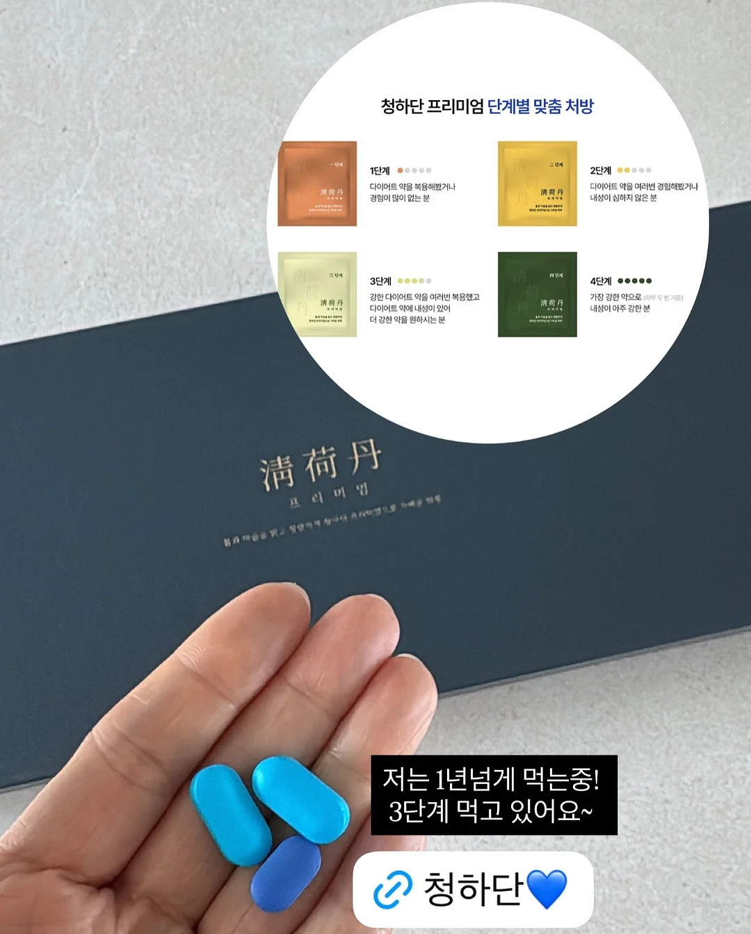 머즈캐리어 17