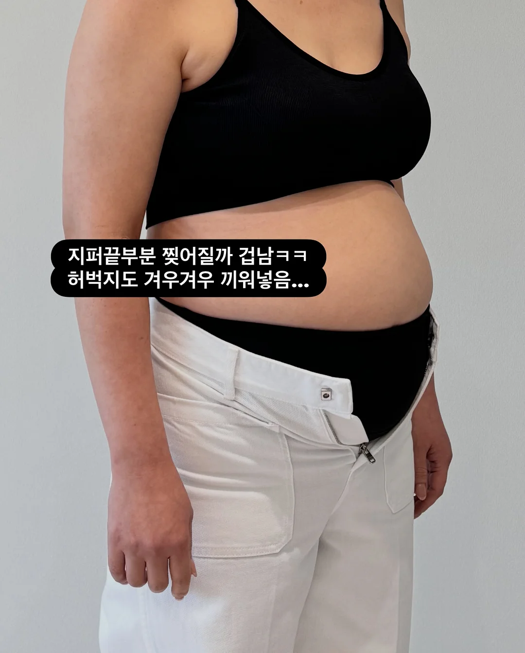 머즈캐리어 6