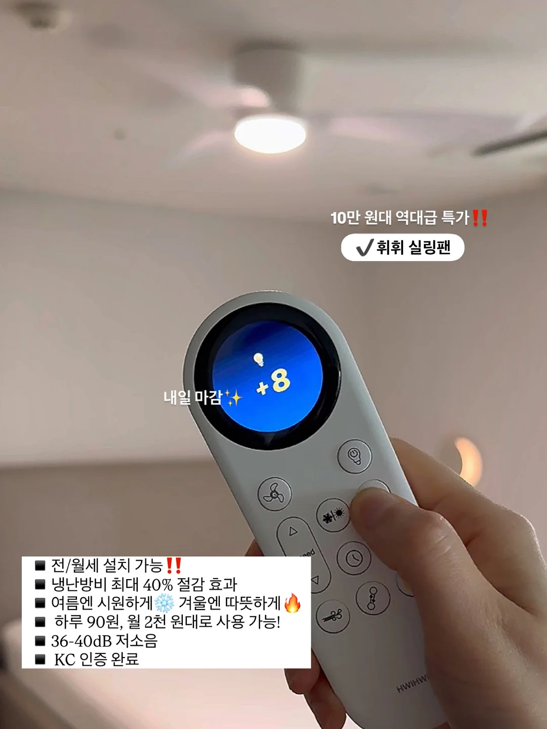 화살촉오징어 1