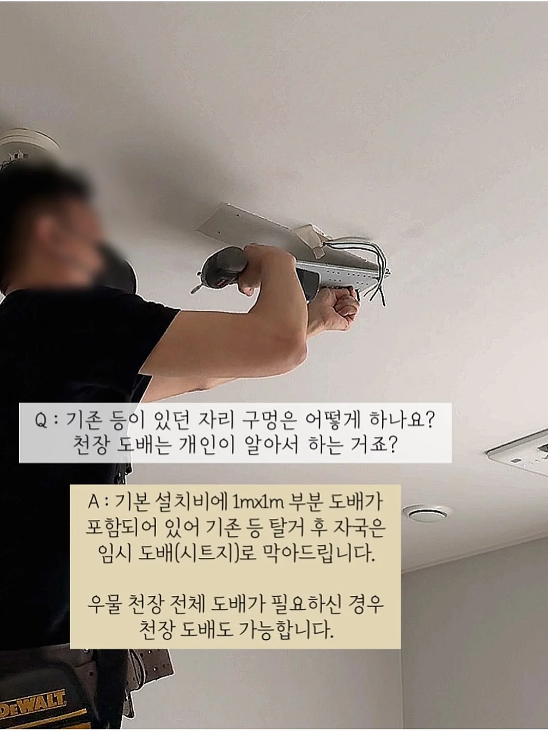 화살촉오징어 9
