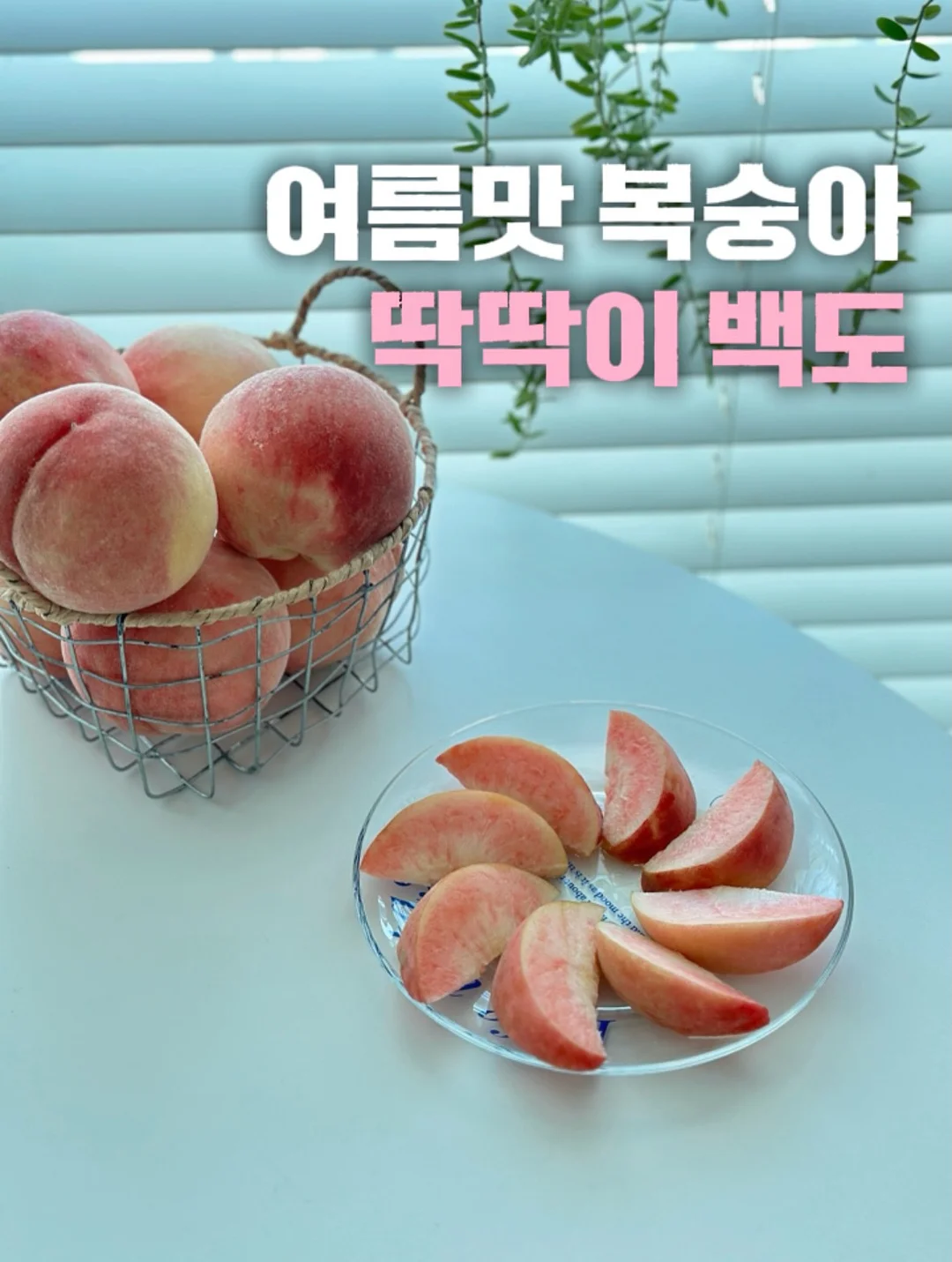 멀티 쿠커 1
