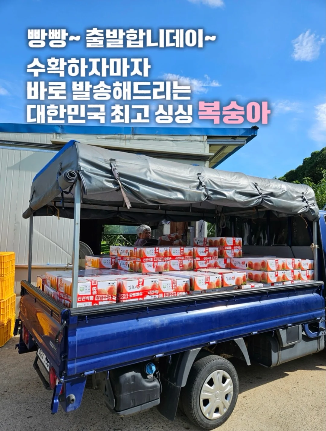 멀티 쿠커 11