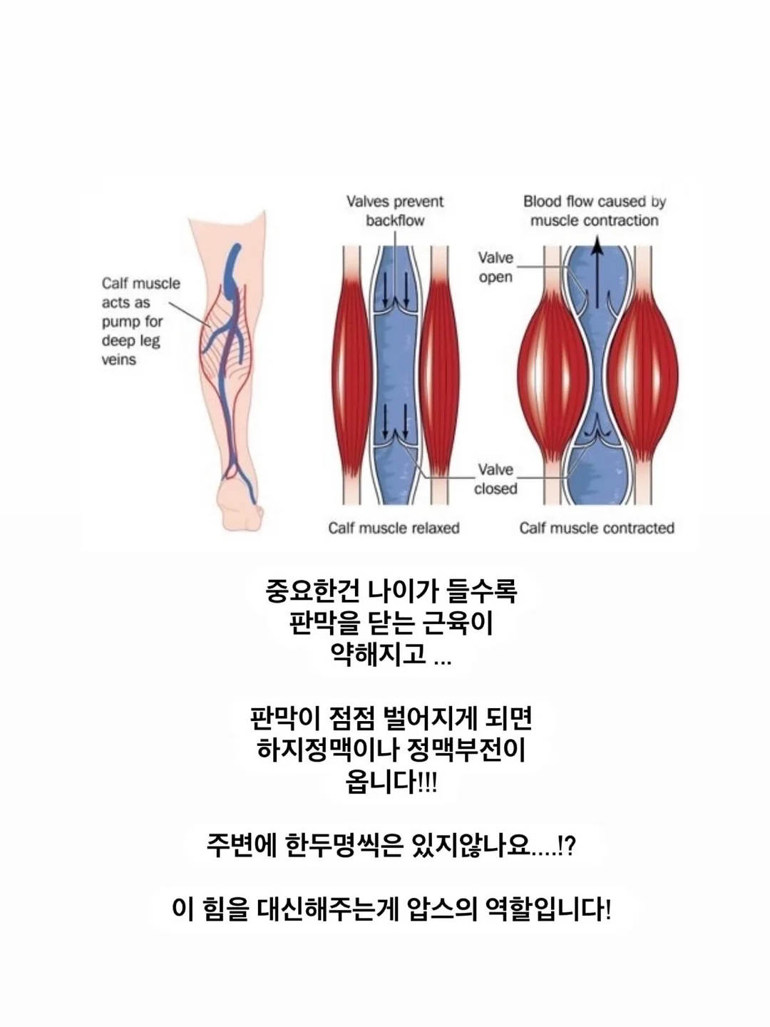 맥세이프 삼각대 9
