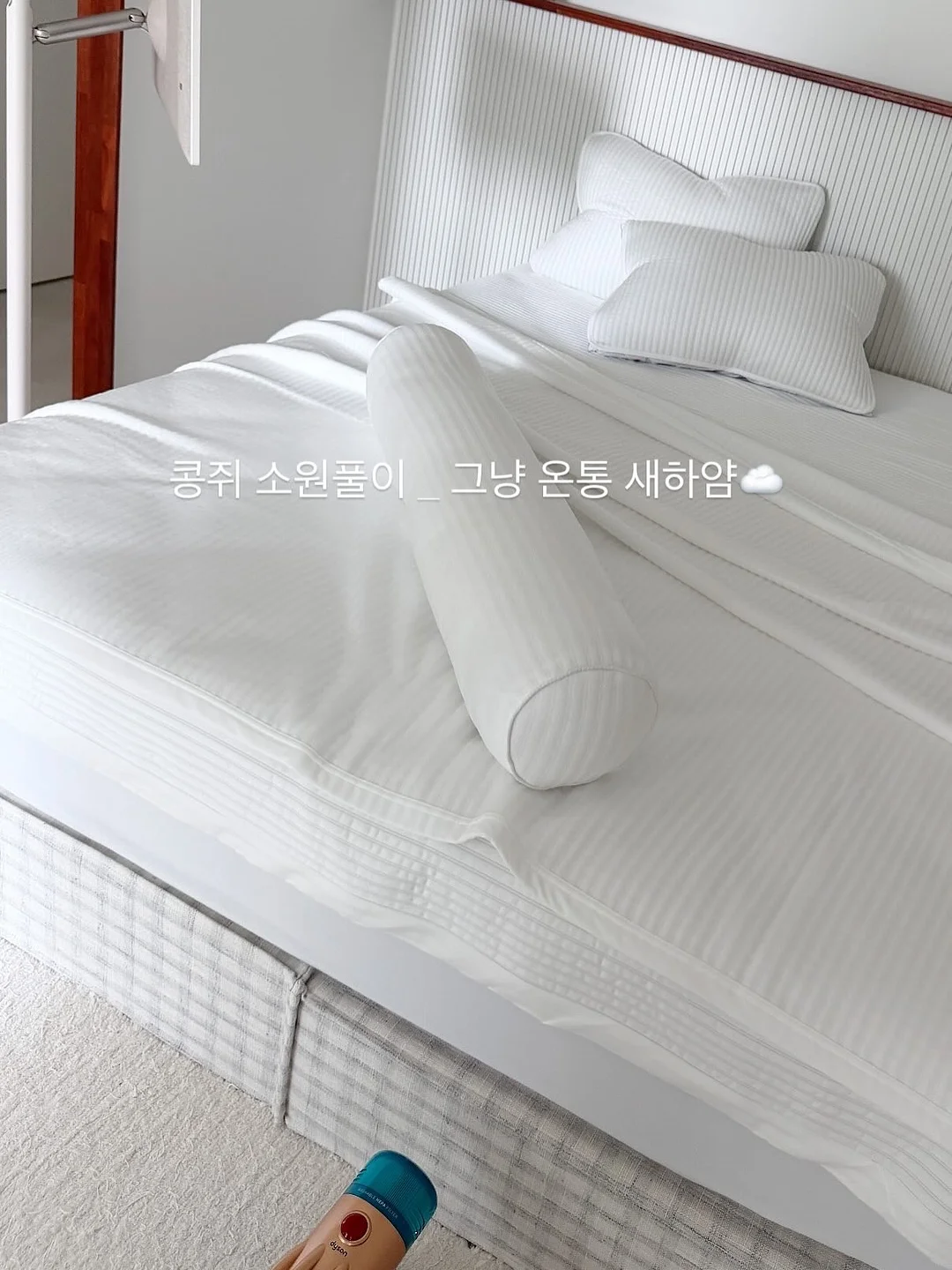 젠몬 선글라스 1