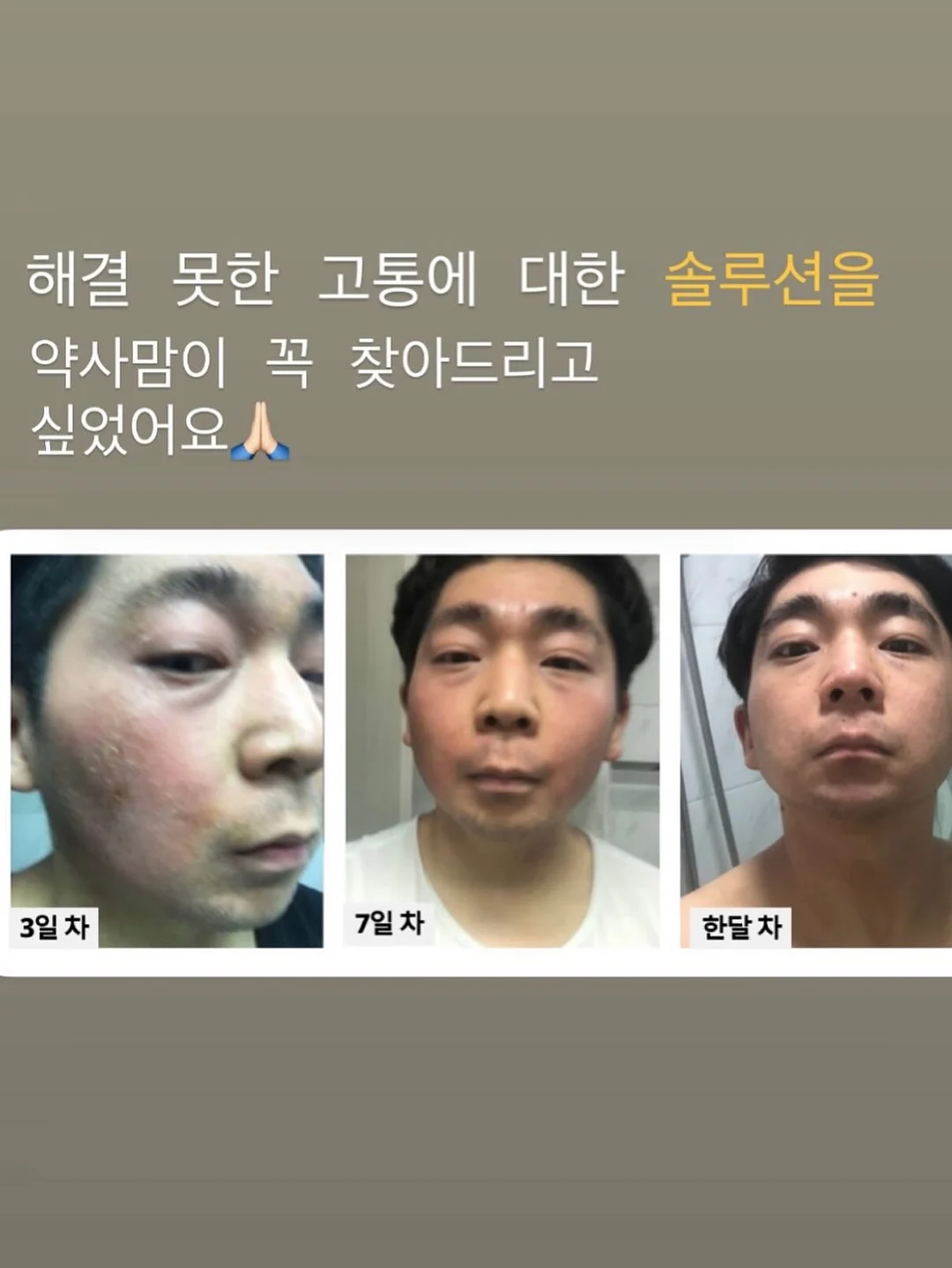 가디건 6