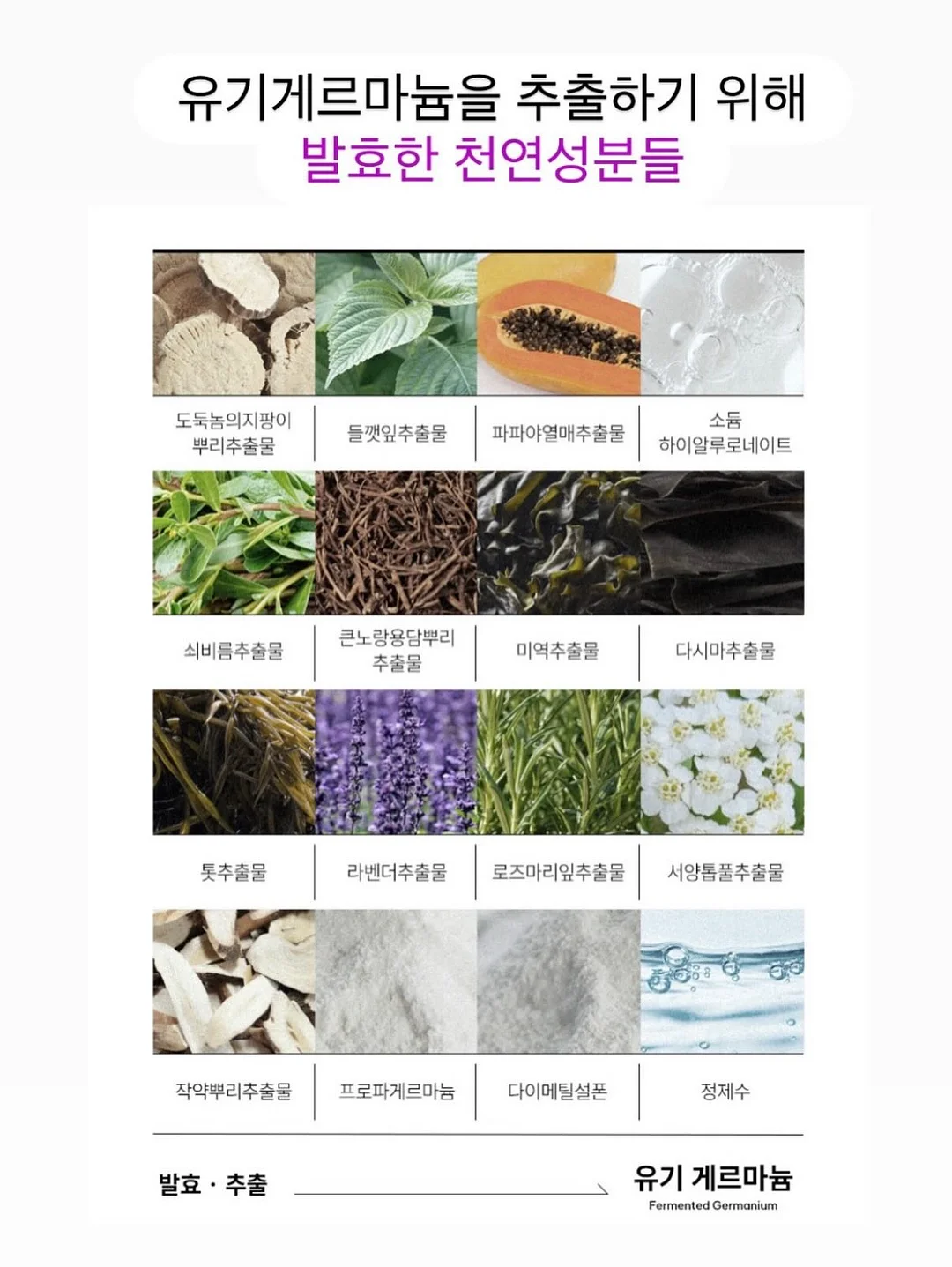 가디건 9