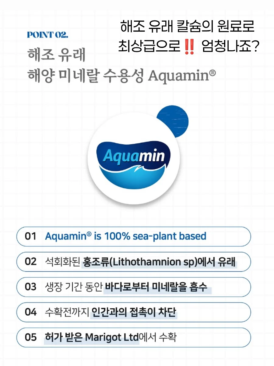 볼륨 집게 빗 5
