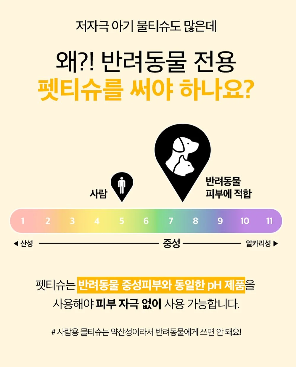 버뮤다 팬츠 2